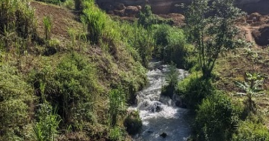 Musanze: Abarimo ba Rwiyemezamirimo Nshimiye, Mariko, Cyiza na Desire, barangije guhindura ubutayu igice kimwe cy’ubutaka bwa Musanze
