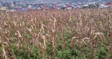 Nyabihu:Avoka arashinjwa  gukoresha inyandiko mpimbano, akagurisha isambu ya mugenzi we ifite agaciro ka miliyoni 12, kuri miliyoni imwe y’amanyarwanda Nyabihu:Avoka arashinjwa  gukoresha inyandiko mpimbano, akagurisha isambu ya mugenzi we ifite agaciro ka miliyoni 12, kuri miliyoni imwe y’amanyarwanda