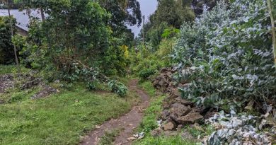 Burera-Rugarama: Abatuye umudugudu wa Rukiko biyemeje guhanga bundi bushya umuhanda wari umaze imyaka n’imyaniko waragizwe igisibanzira