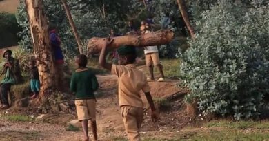 Burera-Gahunga: Inkuru ibabaje y’abana ababyeyi bohereza ku ishuri, bagakoreshwa imirimo ivunanye harimo no kujya gutashya inkwi hafi ya pariki aho bashobora guhurira n’inyamaswa zirimo imbogo