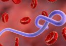 Iby’Ingenzi wamenya ku ndwara ya Ebola ikomeje kugarika ingogo ku mugabane w’Afrika, mu dutero shuma idasiba kugaba kuri uyu mugabane Iby’Ingenzi wamenya ku ndwara ya Ebola ikomeje kugarika ingogo ku mugabane w’Afrika, mu dutero shuma idasiba kugaba kuri uyu mugabane