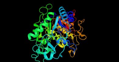 Sobanukirwa n’imikorere ya Hormones na Enzymes ibinyabutabire by’ingenzi mu mikorere y’umubiri wacu. Sobanukirwa n’imikorere ya Hormones na Enzymes ibinyabutabire by’ingenzi mu mikorere y’umubiri wacu.
