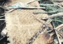 Gataraga-Akumiro: Hafunguwe Norbert washenye inzu y’abana, hakangirika ibiryamirwa byabo n’ibikoresho byabo byo mu gikoni, sekuru asabwa gukuraho vuba na bwangu ibikoresho byangiritse, hitegwa ihungabana ku bana bahohotewe